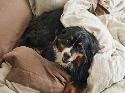 Pottery Barn Bed of Your Dreams Linen Sweepstakes